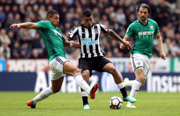 使哈利伯顿 使哈利伯顿