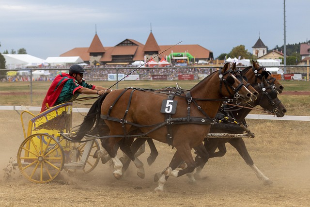 优秀的篮球 优秀的篮球