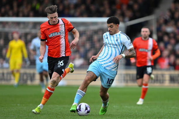 了良好的土 了良好的土